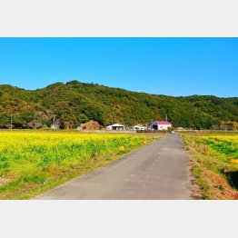 風光明媚に憧れるが、暮らすとなると…？（写真はイメージ）