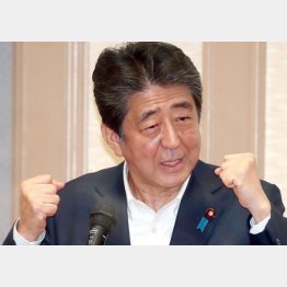 何でもかんでも“遺志”で、立ちふさがるのは…（安倍元首相）／（Ｃ）日刊ゲンダイ