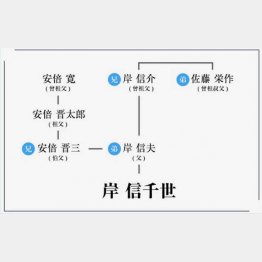 このような家系図が掲載されていたが…（＝岸信千世氏の公式HPから／現在は削除）