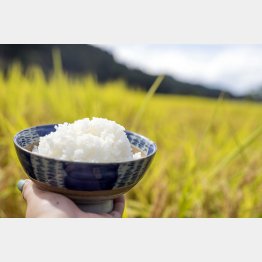 美味しいご飯が食べれなくなる？