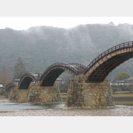 錦帯橋（Ｃ）日刊ゲンダイ