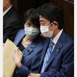 虎の威を借る…（Ｃ）日刊ゲンダイ