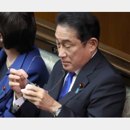 元首相とシンクロしてきた（岸田首相）／（Ｃ）日刊ゲンダイ