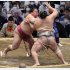 押して押して、また押して…（大栄翔が突き出しで北勝富士を破る）／（Ｃ）共同通信社