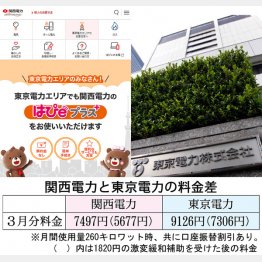 東京で関電とも契約できる（Ｃ）日刊ゲンダイ