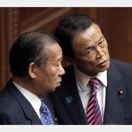 この先二階元幹事長（左）も麻生副総裁も後継者には息子を…（Ｃ）日刊ゲンダイ