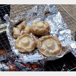 立派なサイズをホイル焼きに（Ｃ）日刊ゲンダイ