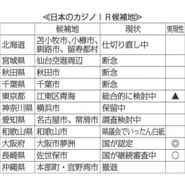 日本のカジノIR候補地（Ｃ）日刊ゲンダイ