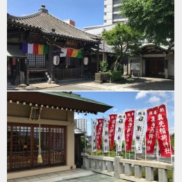 橋場不動院（上）と真崎稲荷神社（Ｃ）日刊ゲンダイ