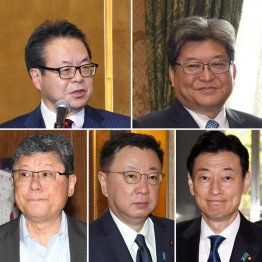 「5人組」は全員やりたい（左上から時計回りに、世耕、萩生田、西村、松野、高木5氏）／（Ｃ）日刊ゲンダイ