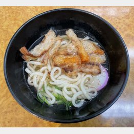 ごぼう天うどん（Ｃ）日刊ゲンダイ