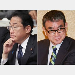 「間違い」を、認めて頭を下げることができない（岸田首相と河野デジタル相＝右）／（Ｃ）日刊ゲンダイ