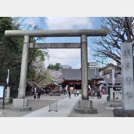 浅草神社も参加