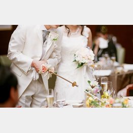 高い費用をかけて昭和のような派手な結婚式は…