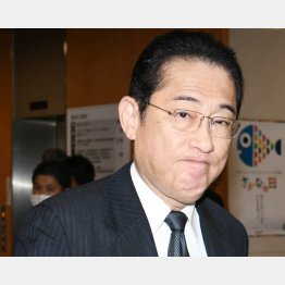 異次元緩和、円安放置、税金補填の場当たり政策（岸田首相）／（Ｃ）日刊ゲンダイ