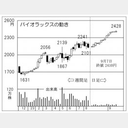 「パイオラックス」の株価チャート（Ｃ）日刊ゲンダイ