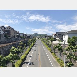 確実に50年住宅ローン環境は整備されてきているが…