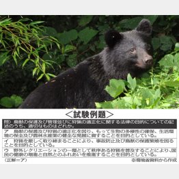 狩猟免許は気軽に取得できる感じではない（Ｃ）日刊ゲンダイ