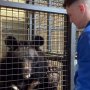 ウクライナで保護されたクマがスコットランドの動物園で飼育されることに…安堵の声