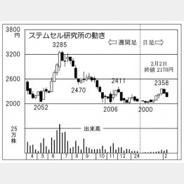 ステムセル研究所の株価チャート（Ｃ）日刊ゲンダイ