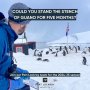 世界最南端の「ペンギン郵便局」で働きませんか？ 英国の慈善団体がユニークな求人広告