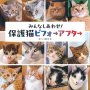 「みんなしあわせ！保護猫ビフォーアフター」猫びより編集部編