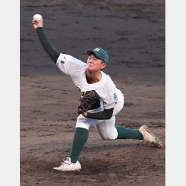 昨夏、当時2年生ながら甲子園のマウンドに立った梅沢（Ｃ）日刊ゲンダイ