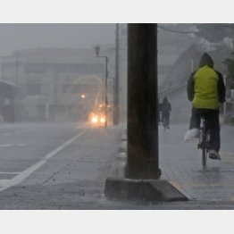 大粒の雨が降る鹿児島県枕崎市＝5月28日午前（Ｃ）共同通信社