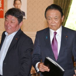 聞く耳持たない総裁にぷんぷん（自民党の麻生副総裁と茂木幹事長＝左）／（Ｃ）日刊ゲンダイ