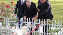 独裁者は揃って犬がお好き？ 金正恩総書記がプーチン大統領に大型猟犬を贈った意味
