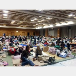 熊本地震で避難生活をする益城町の人々（Ｃ）日刊ゲンダイ