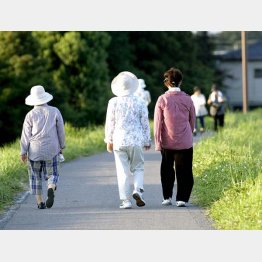 この季節は朝晩の気温差も大きい（Ｃ）日刊ゲンダイ