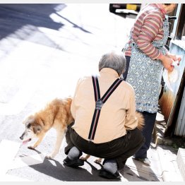 写真はイメージ（Ｃ）日刊ゲンダイ