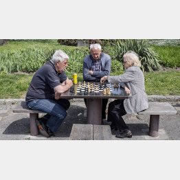 暖かい春の日に公園でチェスを楽しむ老人たち（Ｃ）ロイター