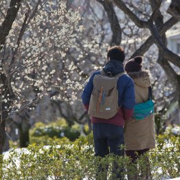 写真はイメージ（Ｃ）日刊ゲンダイ