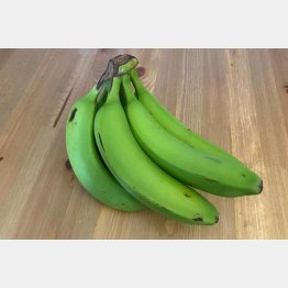青バナナのパウダーや加工品が注目されている（Ｃ）日刊ゲンダイ