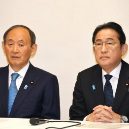 ああ、何という勘違い、国民は自民に退場を迫っているのだ（岸田首相と菅前首相＝左）／（Ｃ）日刊ゲンダイ