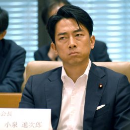 党刷新の顔（小泉進次郎元環境相）／（Ｃ）日刊ゲンダイ