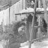 カイコの糸を干す作業をする娘たち（1947＝昭和22＝年6月）／（Ｃ）共同通信社