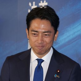 付け焼き刀公約は野党のパクリ、神輿の軽さも…（小泉進次郎元環境相）（Ｃ）日刊ゲンダイ