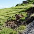 豪雨被害を受地滑りが起きた白米千枚田（Ｃ）共同通信社