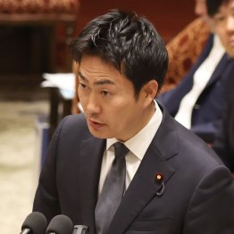 政倫審で質問をした青柳仁士氏（Ｃ）日刊ゲンダイ