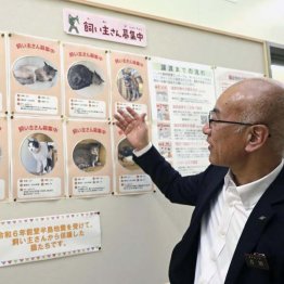 「いしかわ動物愛護センター」で保護されている猫の紹介をする石川県職員（Ｃ）共同通信社