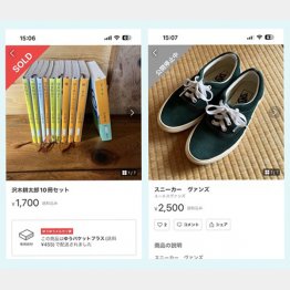 売れてビックリ「沢木耕太郎さんの本」はまとめて出品（左）人気の「VANS」のスニーカーが売れないのは色が悪かったのかも…（Ｃ）日刊ゲンダイ