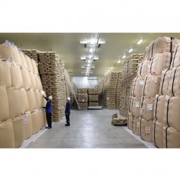 政府備蓄米は91万トン(C)共同通信社