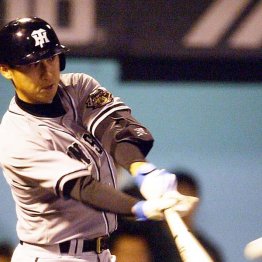 2005年、アウトコースを強引に本塁打する筆者(C)日刊ゲンダイ