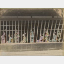 明治中期の吉原。遊郭の1階部分はこのように格子になっており、「張見世」といって娼婦がここで客を待った(長崎大学附属図書館所蔵/共同通信イメージズ)