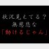 （C）コクハク
