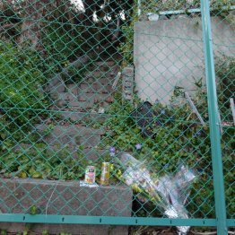 遺体遺棄現場の雑木林。花が手向けられていた(提供写真)