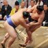 若元春（右）を寄り切る大の里（Ｃ）日刊ゲンダイ